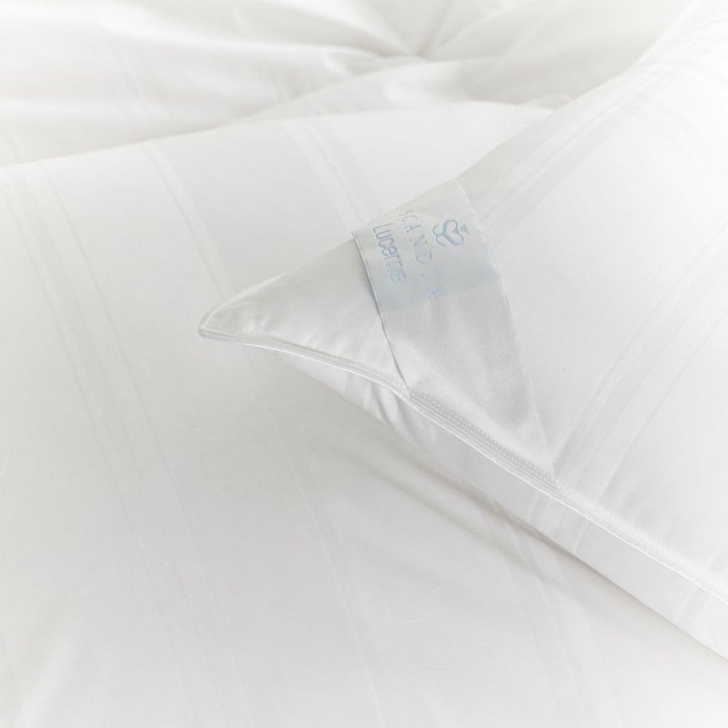 Scandia Lucerne Pillows