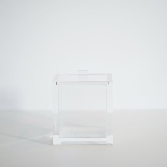 Clear Ice Container with Lid