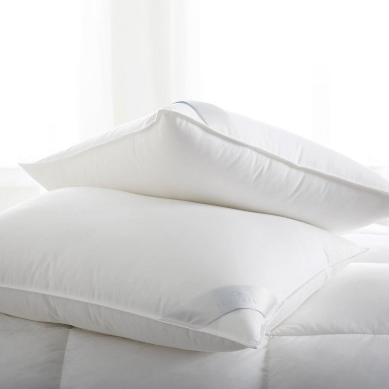 Scandia Bergen Down-Free Pillows